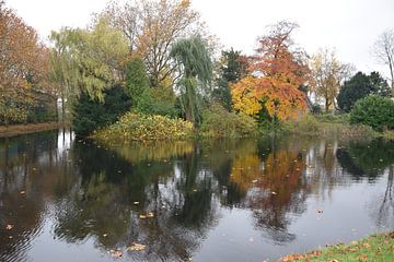 Herfst 2023 van Huub Westendorp