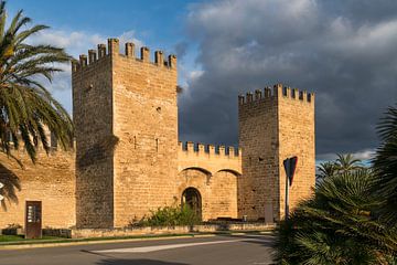 Alcudia city wall, Mallorca by Peter Schickert