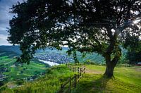 Kröv on the Moselle from Mont Royal in Germany