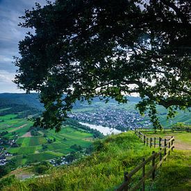 Krov sur la Moselle depuis le Mont Royal en Allemagne sur Ricardo Bouman Photographie