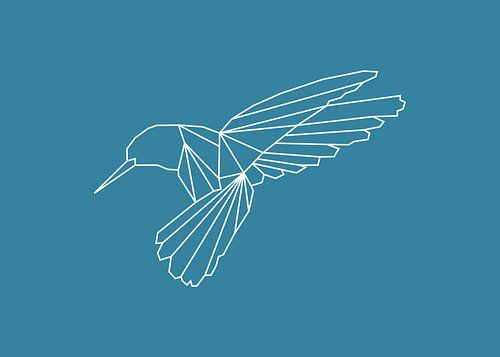 Kolibri - Graphic animals