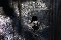 Bird on ice by Renske van Lierop thumbnail