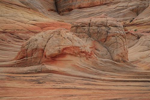 Rotsformaties in de North Coyote Buttes, deel van het Vermilion Cliffs National Monument. Dit gebied
