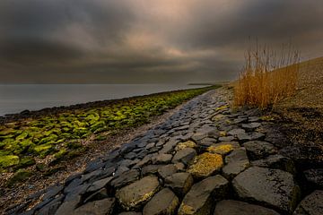 Een dijk op Texel van Andy Luberti