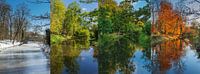 Amersfoort forest in four seasons