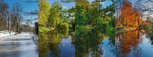 La forêt d'Amersfoort en quatre saisons sur Karin Riethoven