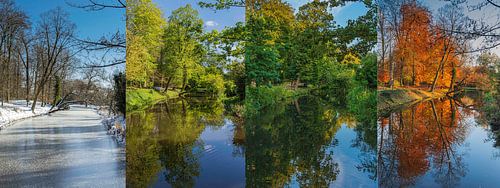 Amersfoorter Wald in vier Jahreszeiten