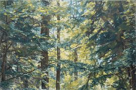 A Breath of Fresh Air: Sunlight and Vitality in the Woods by Dirk van der Ven