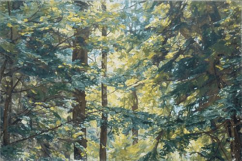 « Un bol d'air frais » : un paysage forestier plein de charme, avec des rayons de soleil filtrant à travers les arbres