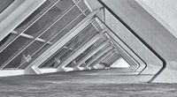 City of Arts and Sciences (Valencia)