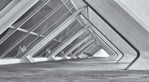 City of Arts and Sciences (Valencia)