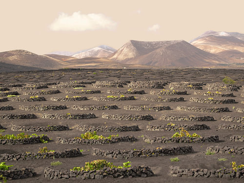 Lanzarote – Weinberge und Vulkane