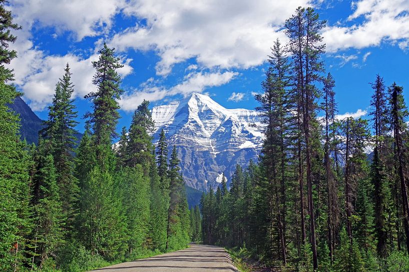 Mount Robson von Reinhard  Pantke