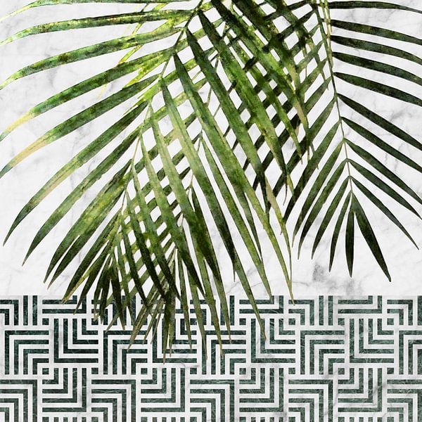 Feuilles de palmier sur un mur carrelé par amini54 