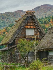 Rieten Dak en Verweerd Hout: Tijdloos Shirakawa-go