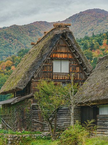 Thatched Roof and Weathered Wood: Timeless Shirakawa-go by Teun Ruijters