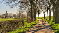 Country road towards the church of Middelaar