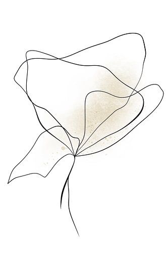 Excellance by simplicity