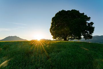 Zonsopgang boven de Ober Allgäu van Leo Schindzielorz