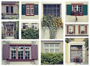 swiss windows van Ariadna de Raadt-Goldberg thumbnail