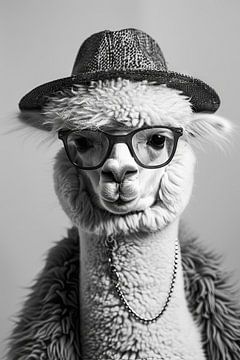 Modieuze lama met hoed en bril in zwart en wit van Felix Brönnimann