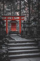 Red gate