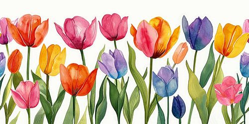 Tulpen Aquarel