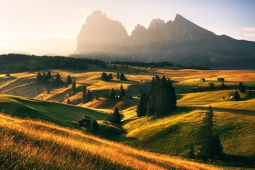 Een zonnige ochtend op de Alpe di Siusi