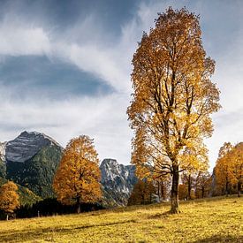 Panorama de montagne du Großer Ahornboden. sur Voss Fine Art Fotografie