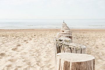 Beach posts on the beach in Zeeland. by Ron van der Stappen