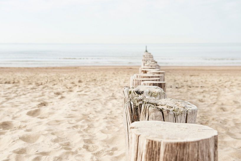 Strandpfosten am Strand von Zeeland. von Ron van der Stappen