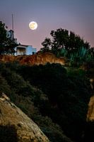 Rising Full Moon