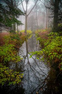 Backershagen Wassenaar von Dirk van Egmond