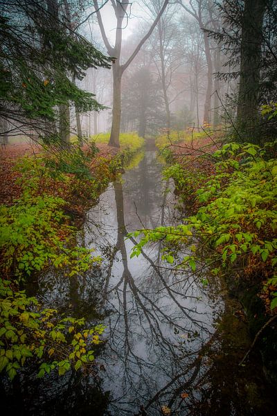 Backershagen Wassenaar by Dirk van Egmond