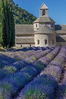 Frankrijk, Provence, Abbaye Notre-Dame de Sénanque, klooster