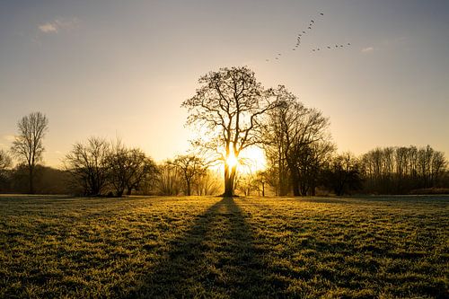 Ruhr bei Hattingen, Ruhrgebiet, Nordrhein-Westfalen, Deutschland von Alexander Ludwig