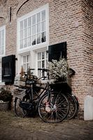 Quiet life in Brielle