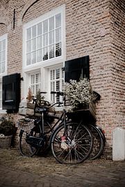 Quiet life in Brielle by Iris Beukelman