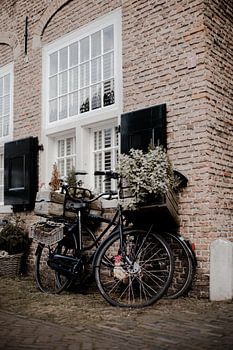 Stil leven in Brielle