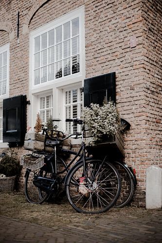 Stil leven in Brielle