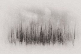 art  van Ries IJsseldijk