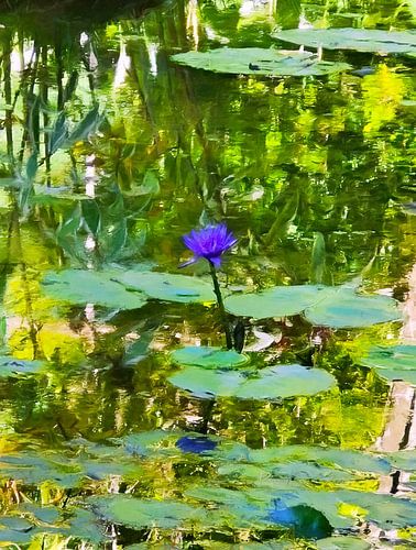 Monet door Georgia Chagas