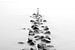Le brise-lames en noir et blanc sur Tilo Grellmann | Photography
