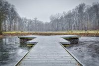 Nieuwenhoven