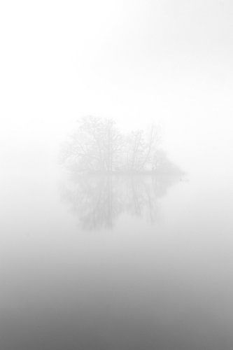 Island in the fog