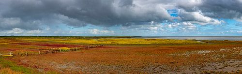 Splendeur colorée sur Terschelling. sur Marcel Pietersen