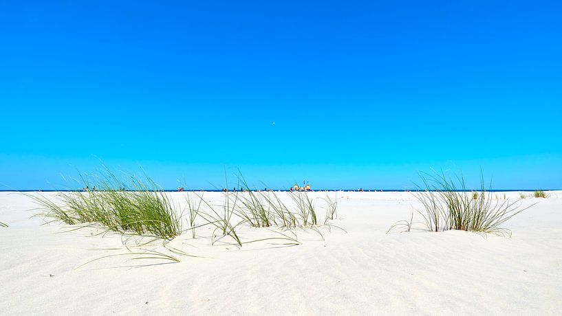 Marram grass and beach pavilion on Schiermonnikoog by Jenco van Zalk