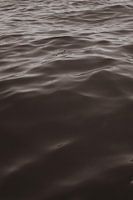 Wellen auf dem Meer schwarz und weiß