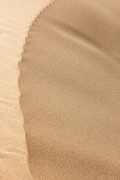 Sand von Sigrid Olschinski