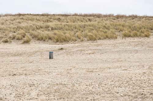 Breskens strandleven: duinen en details